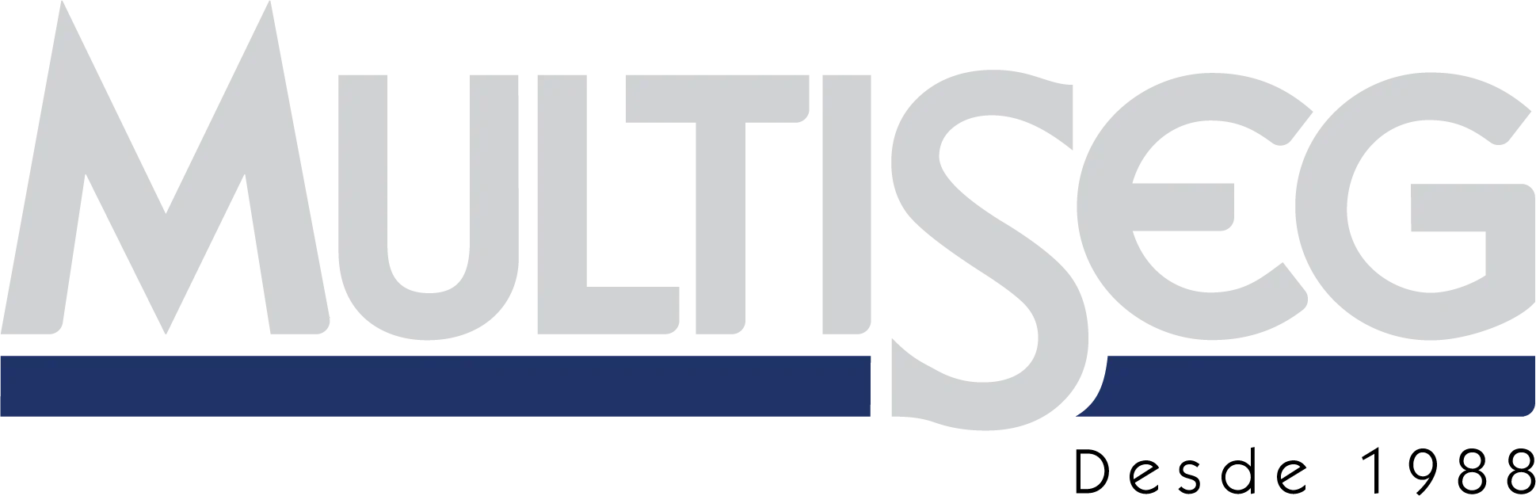 Multiseg